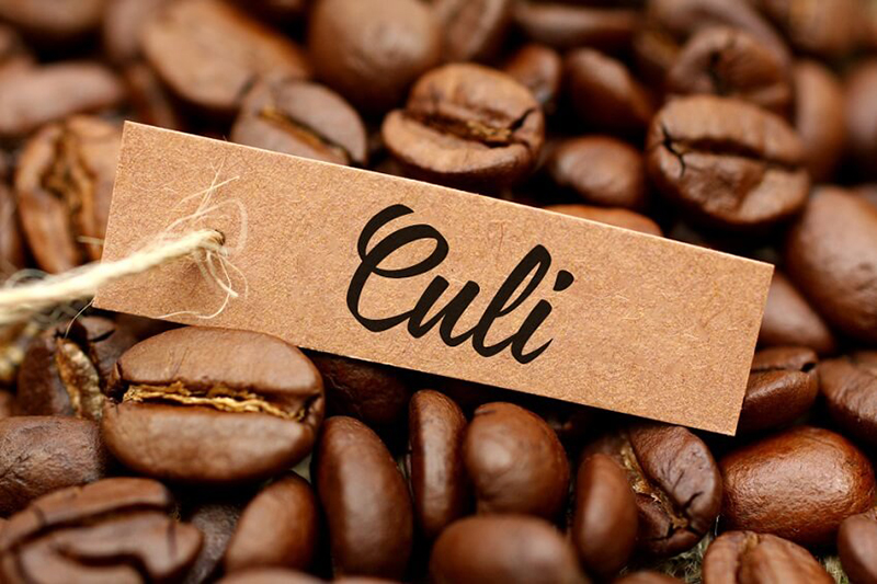 Hạt Cà phê Culi