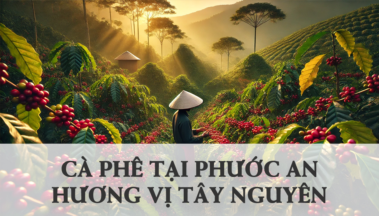 Cà phê Phước An Krông Păc