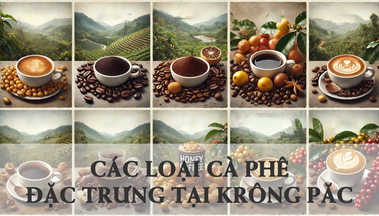 Các Loại Cà Phê Đặc Trưng tại Phước An, Krông Păc