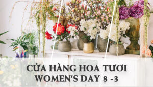 Tìm Kiếm Tiệm Hoa Tươi Tại Krông Păc Dễ Dàng Hơn Cho Ngày 8-3